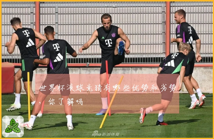 世界杯滚球竞猜有哪些优势和劣势，你了解吗