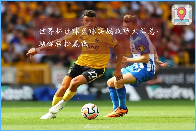 世界杯让球买球实战技巧大汇总，助你轻松赢钱