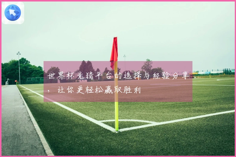 世界杯竞猜平台的选择与经验分享，让你更轻松赢取胜利